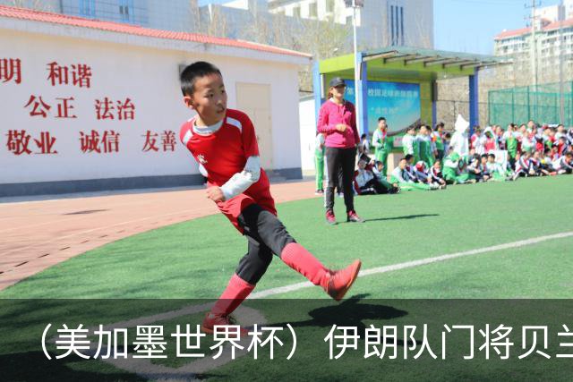 （美加墨世界杯）伊朗队门将贝兰万德的“满分”